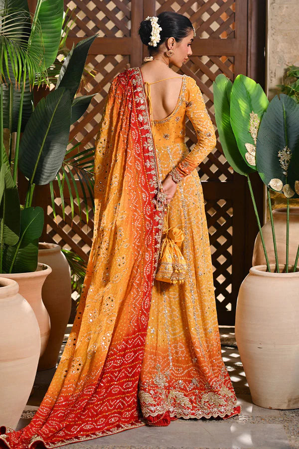 Ansab Jhangir- mahrukh chunri