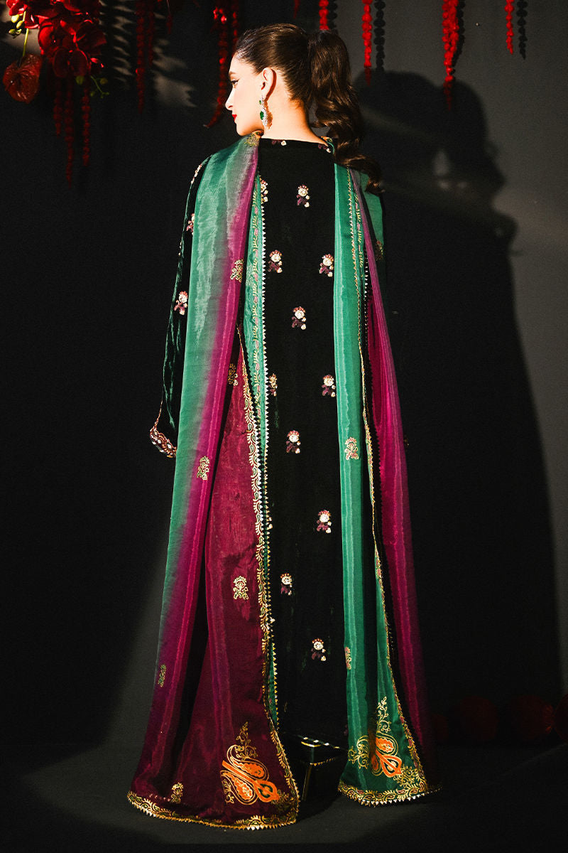 Ansab jhangir - velvet mirha