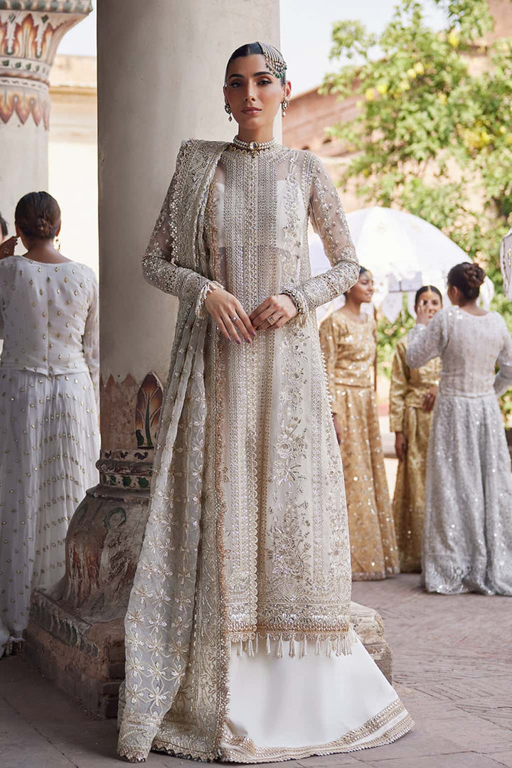 Afrozeh Noori organza