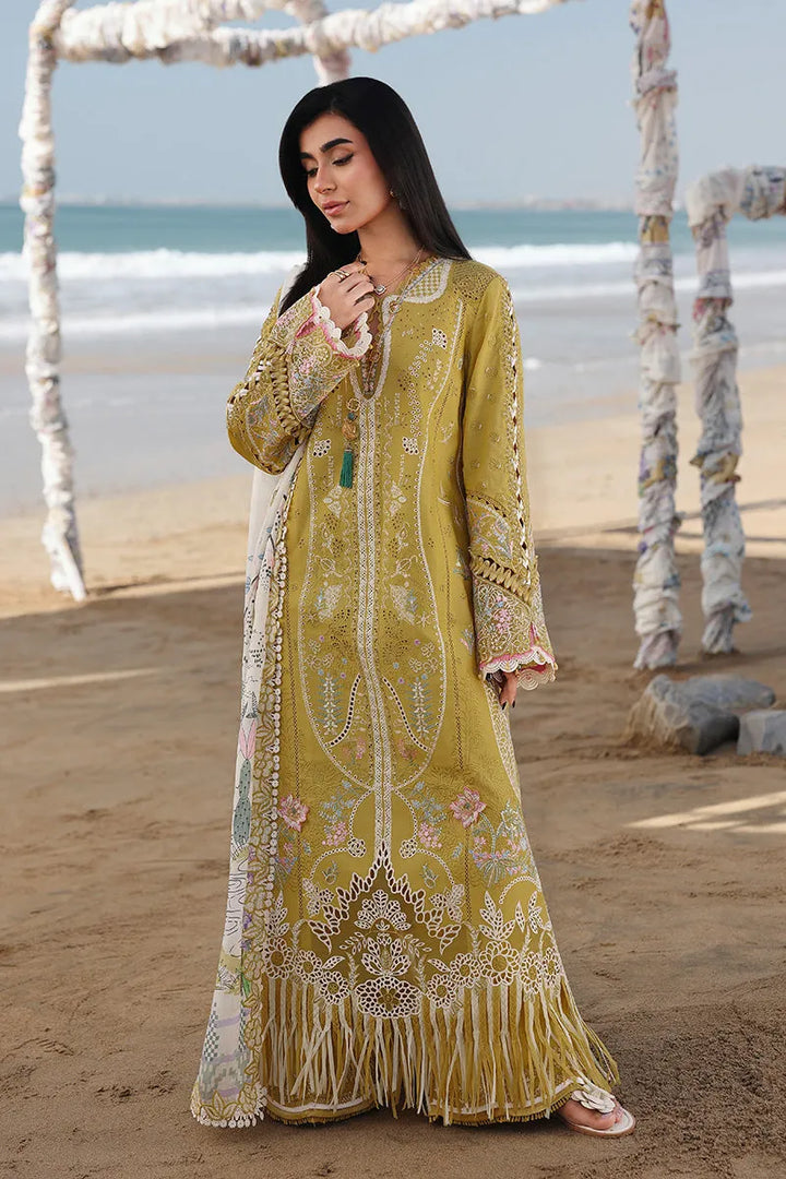 Qalamkar Lawn - 25 HIRA