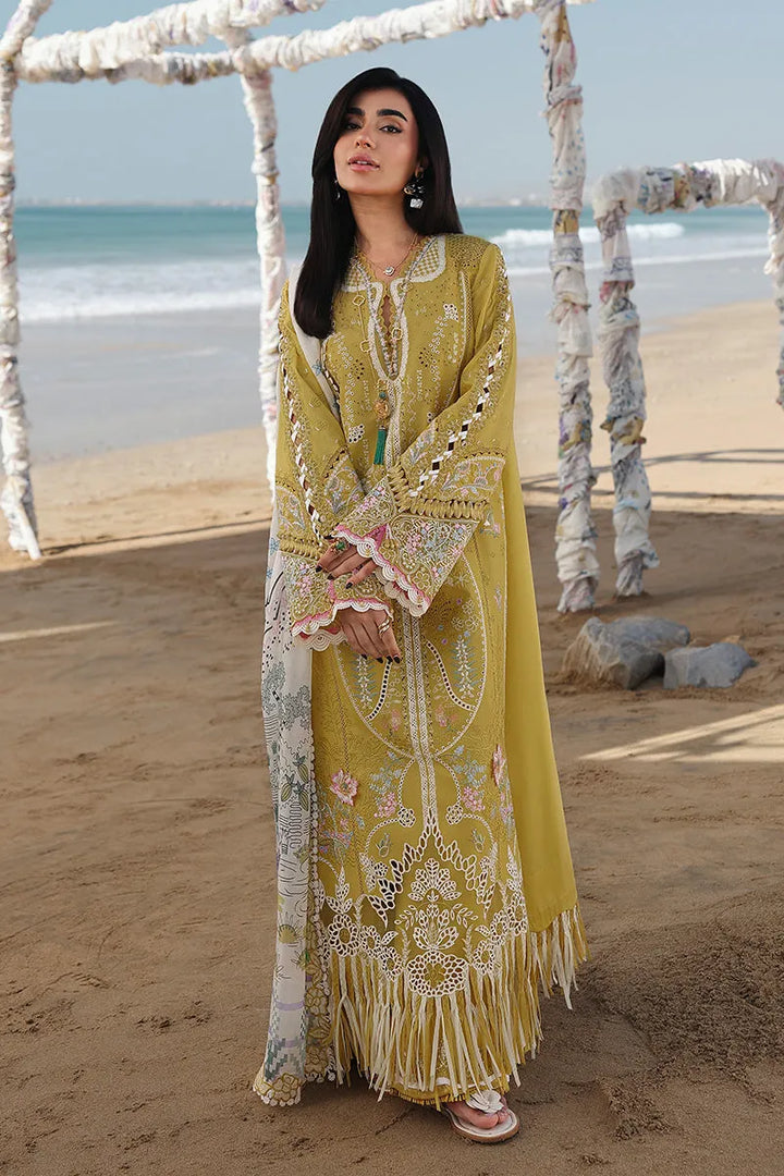 Qalamkar Lawn - 25 HIRA