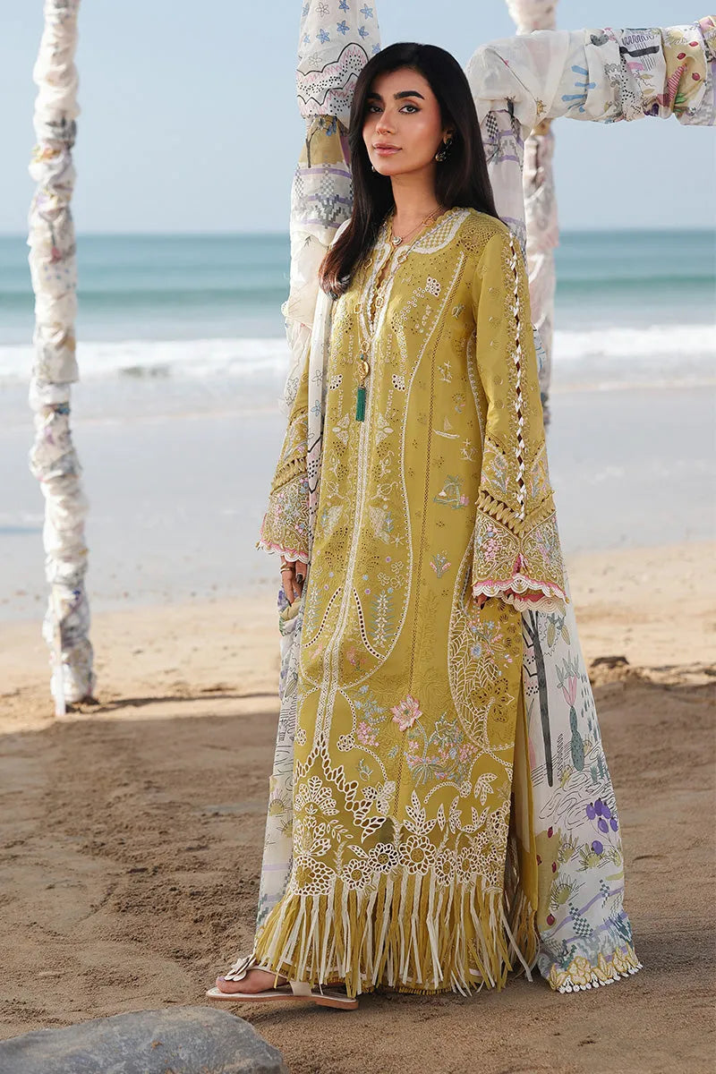 Qalamkar Lawn - 25 HIRA