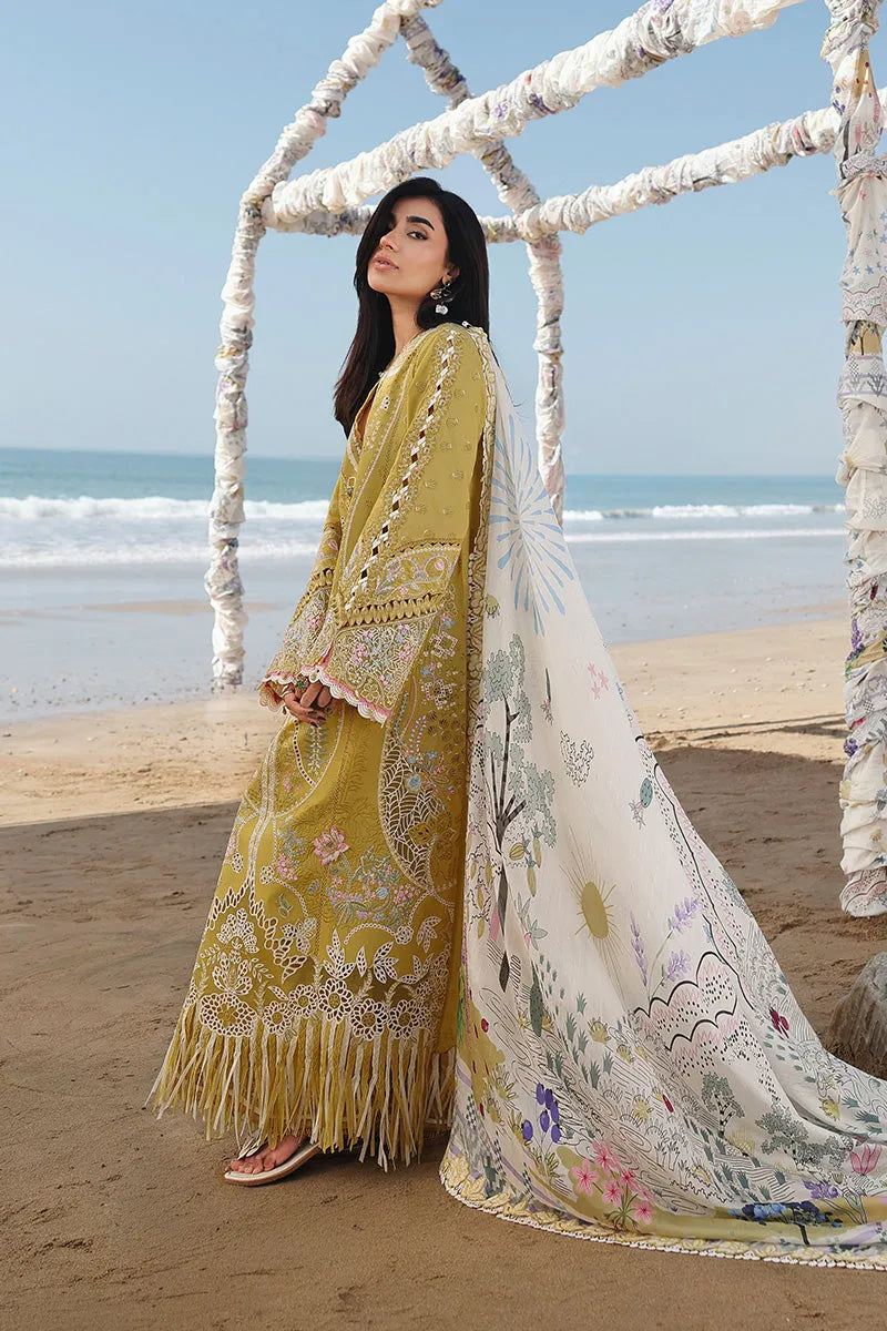 Qalamkar Lawn - 25 HIRA