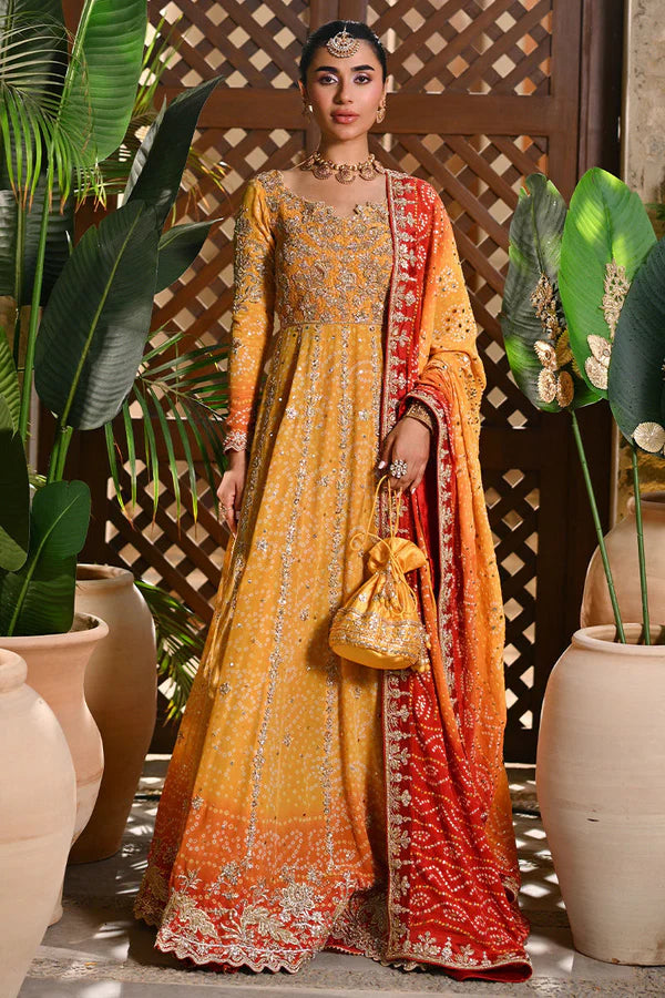 Ansab Jhangir- mahrukh chunri