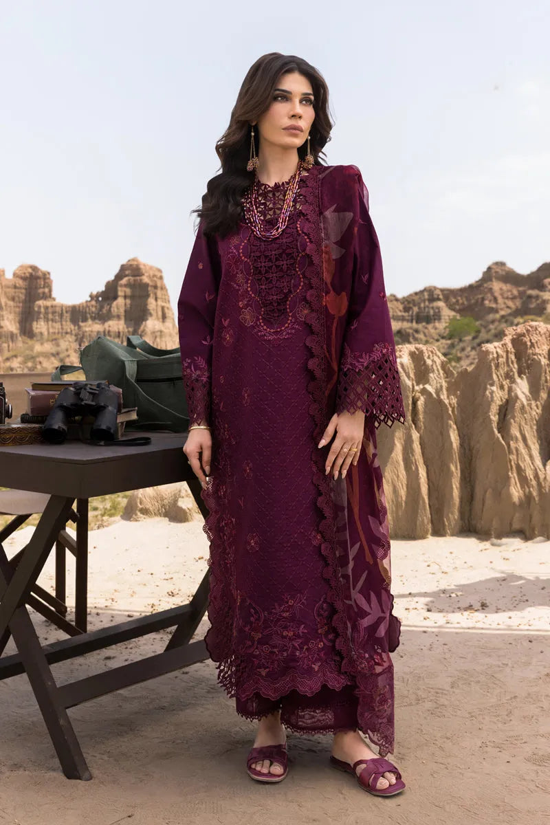 Rang rasiya Lawn | Amyra