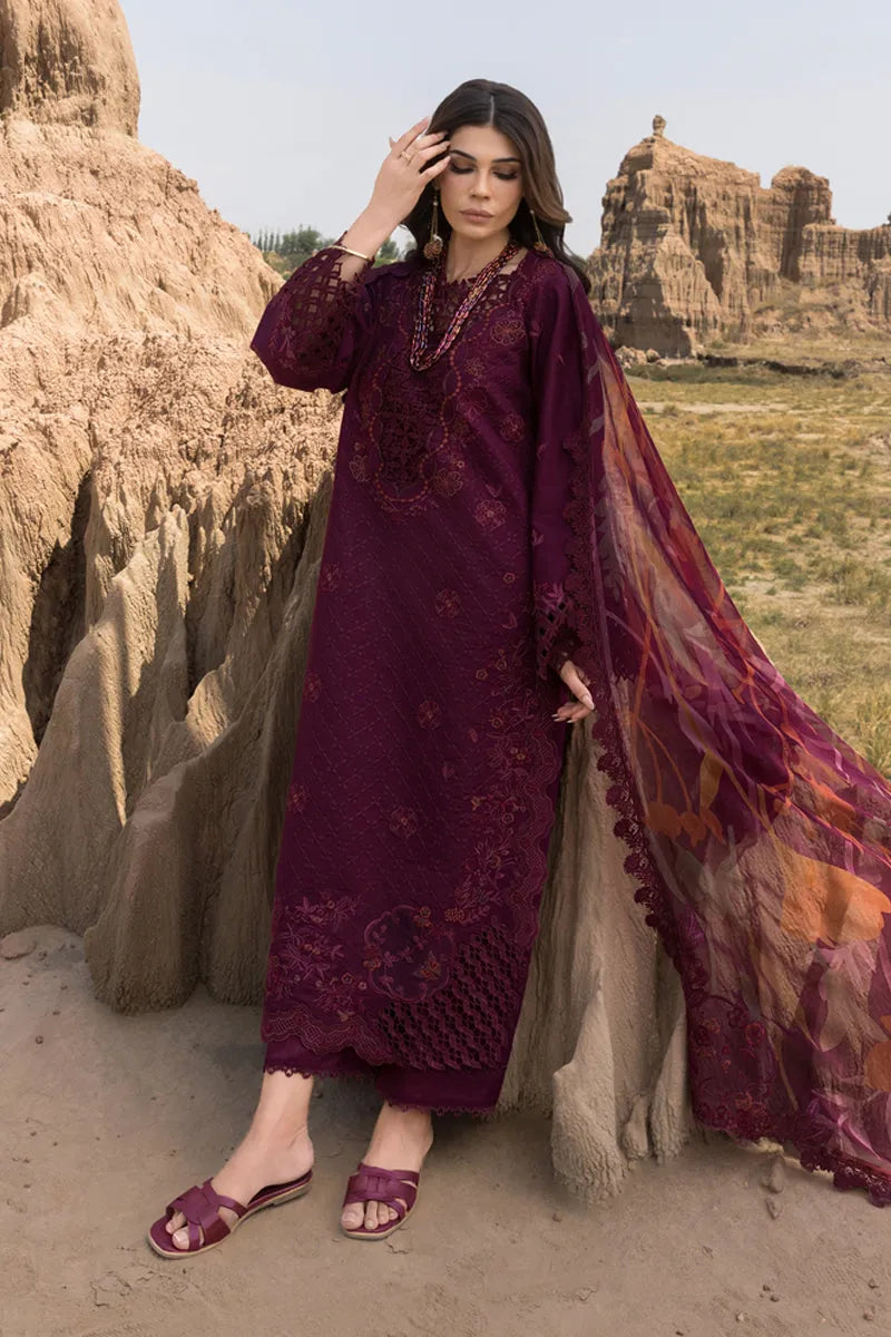 Rang rasiya Lawn | Amyra