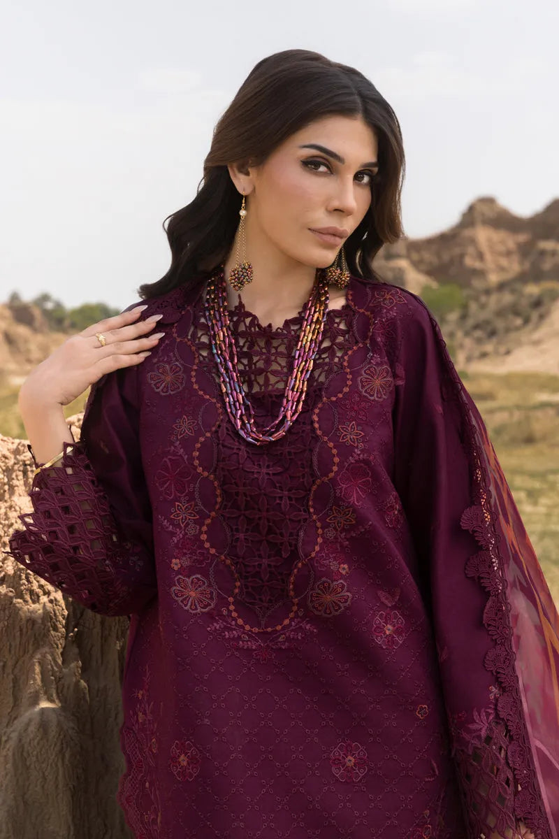 Rang rasiya Lawn | Amyra