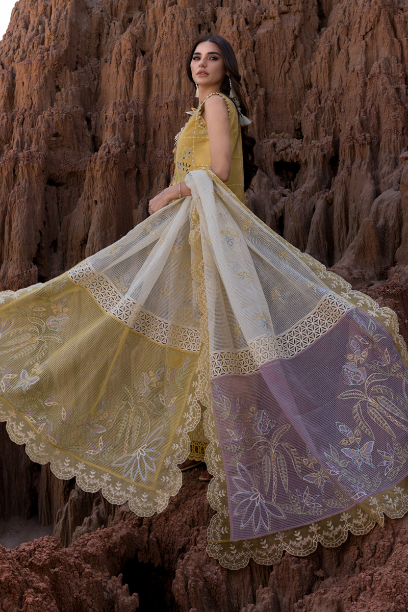 Rang-Rasia lawn - Nadia