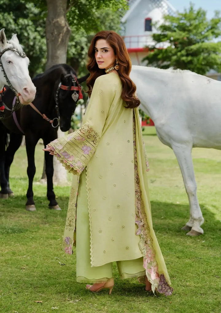 Elaf PISTACIA | Premium lawn