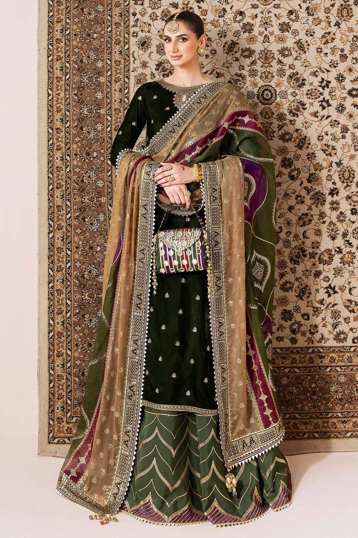 JAZMIN Chandni - Velvet 02