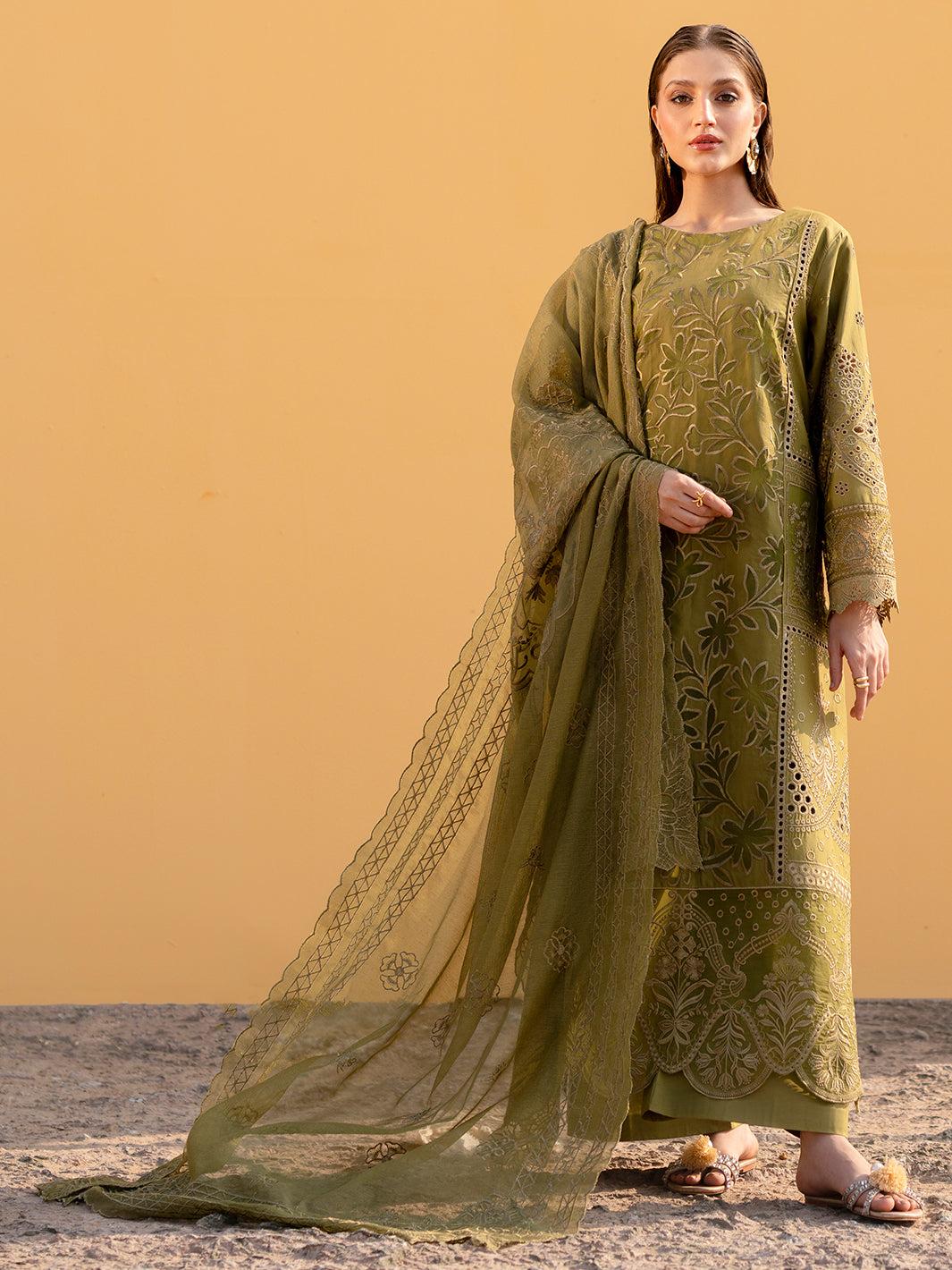 Mahnur lawn - Dhani greens