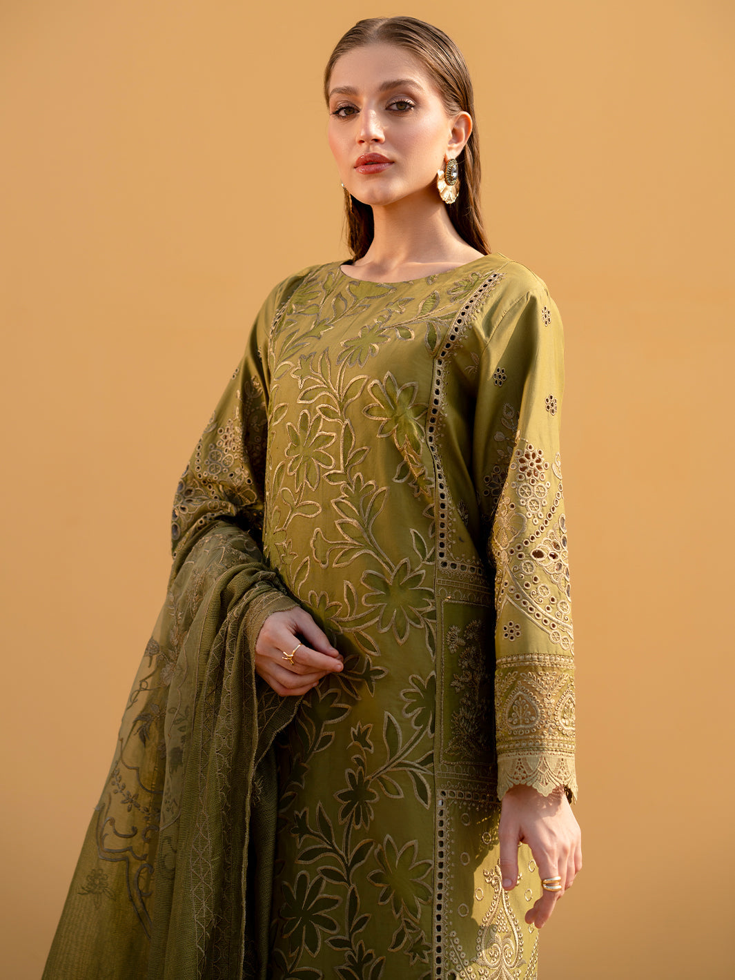 Mahnur lawn - Dhani greens