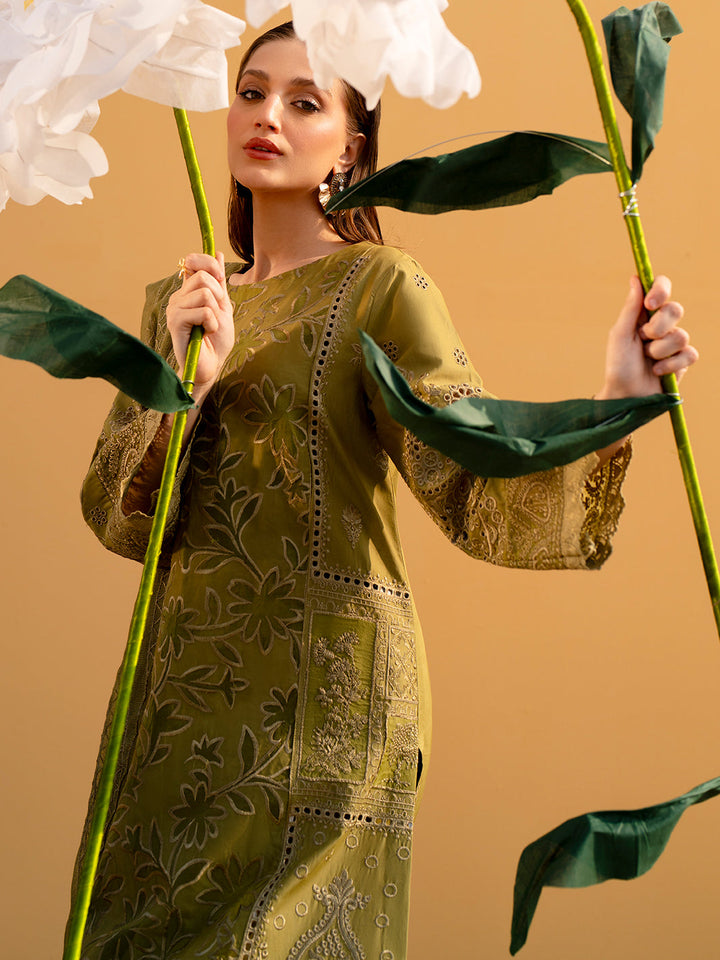 Mahnur lawn - Dhani greens