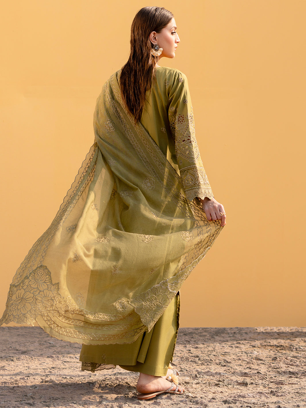 Mahnur lawn - Dhani greens
