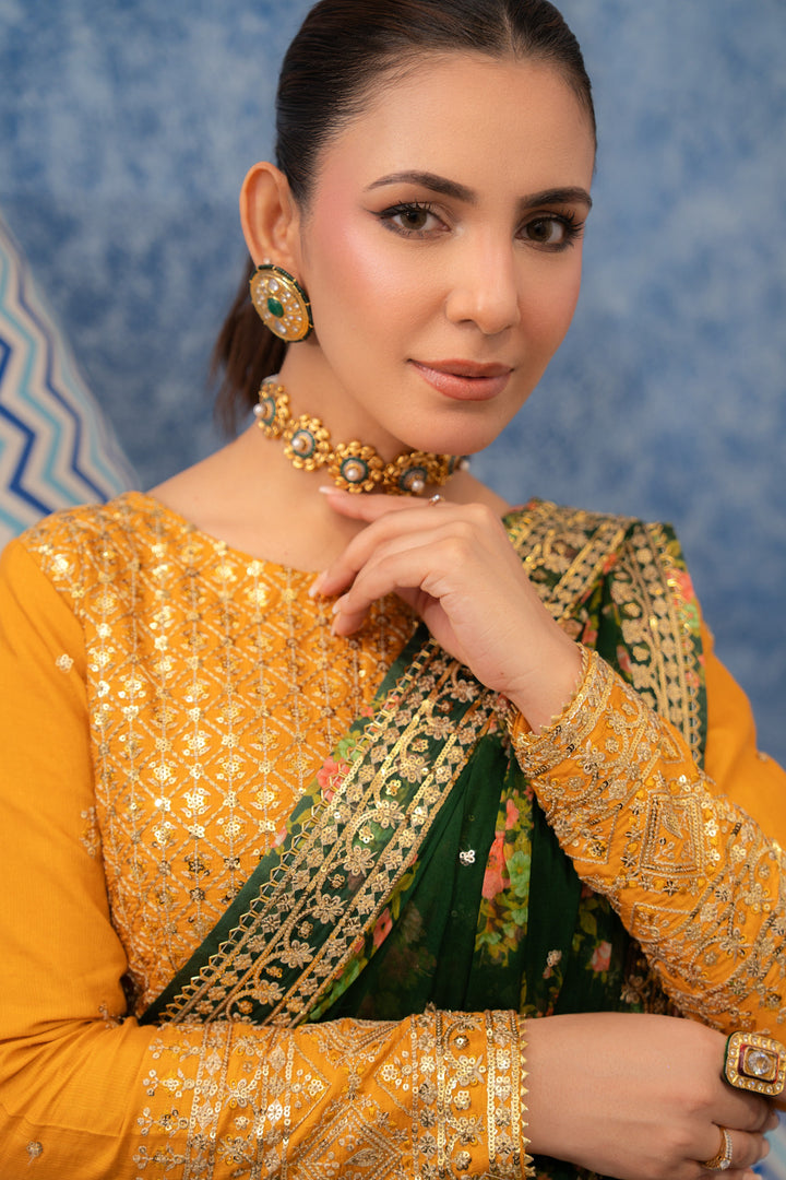 Aneelas Emb Chiffon Saree 3pc [SAR-04]