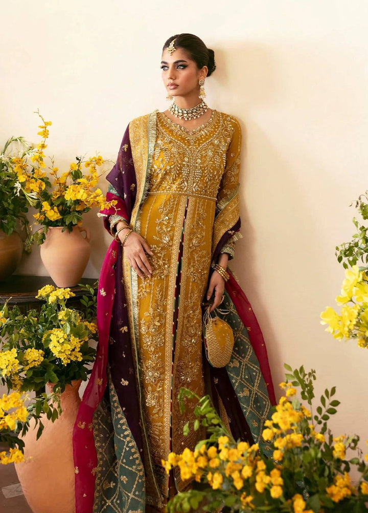 GULAAL NAYAARA ORGANZA EMBROIDERED