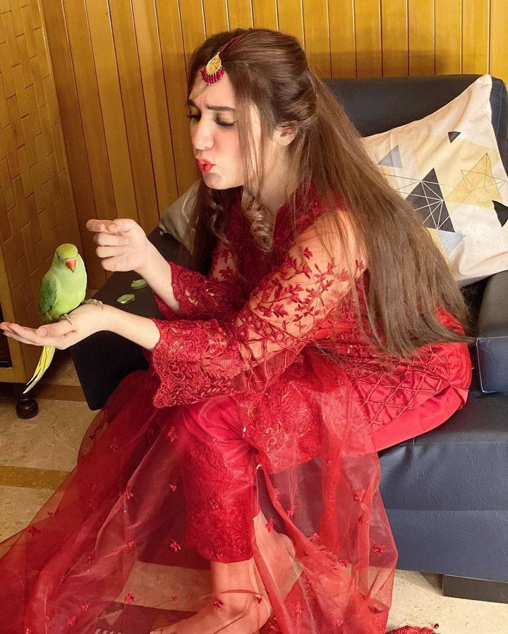 MERIUM PERWAIZ RED DRESS