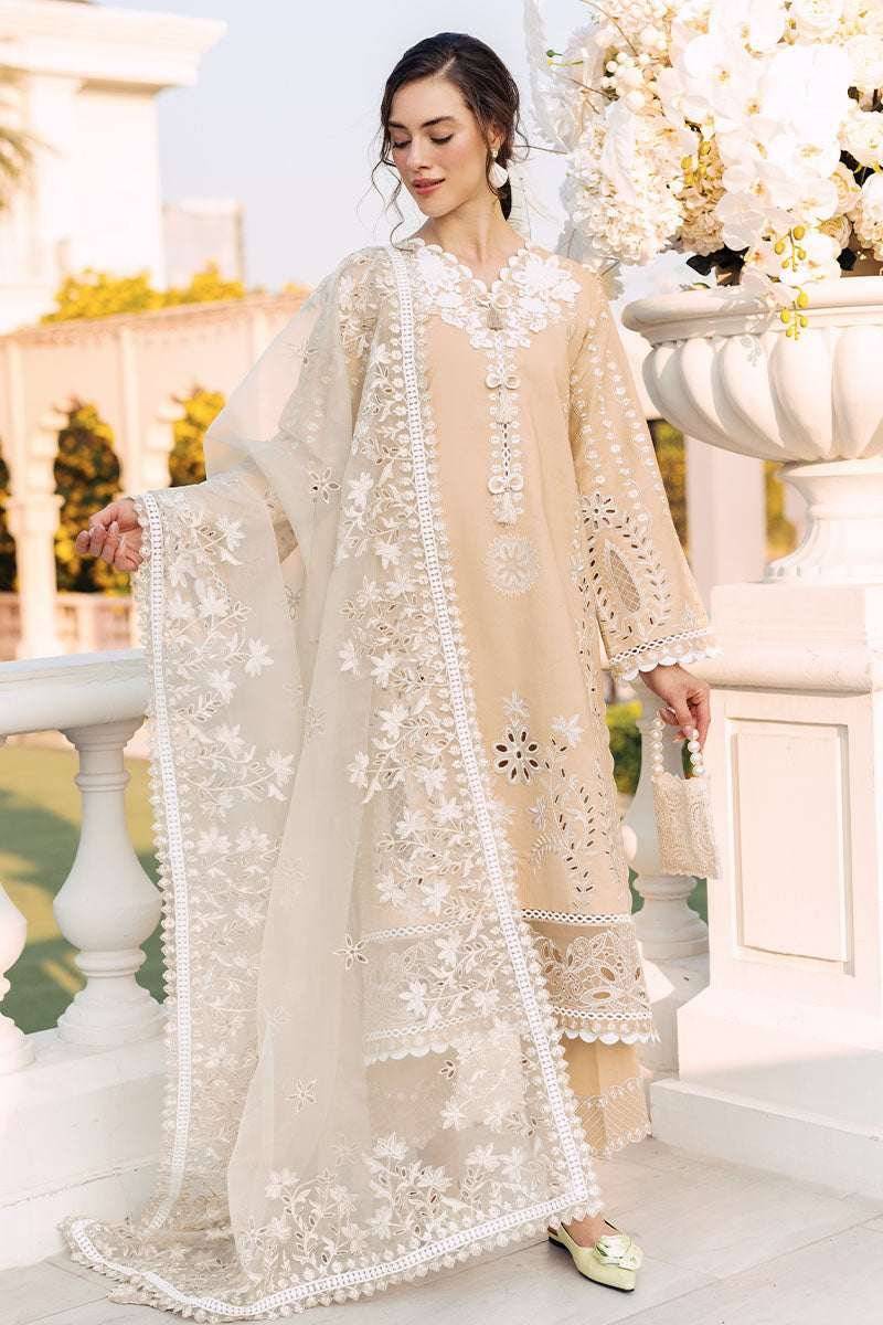 MUSHQ DESERT DIVINE LAWN