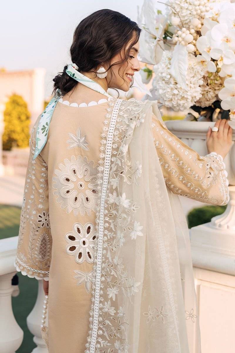 MUSHQ DESERT DIVINE LAWN