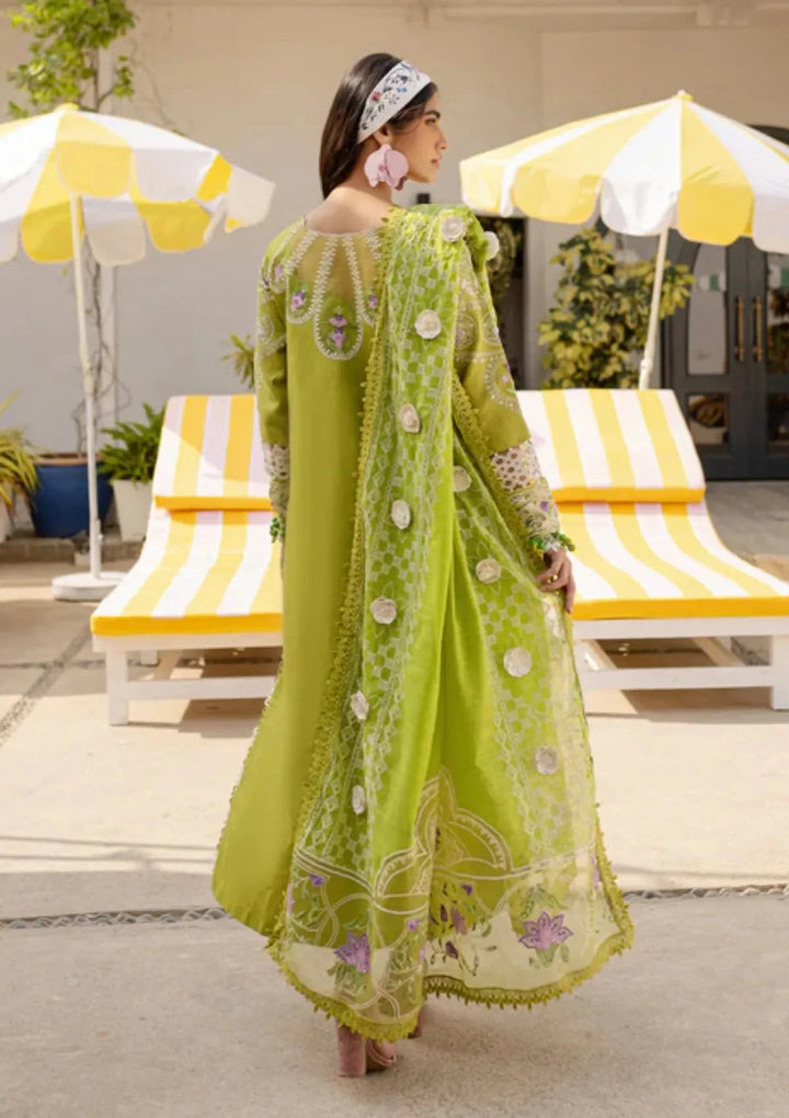 Parishay - monoco Apple green lawn