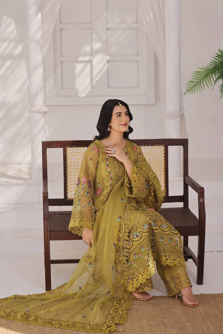 Aneela’s Sara khan Organza