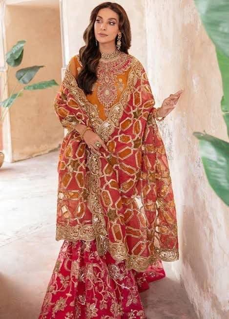 Imrozia chiffon new