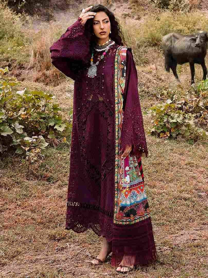 Bin Ilyas LAWN 24