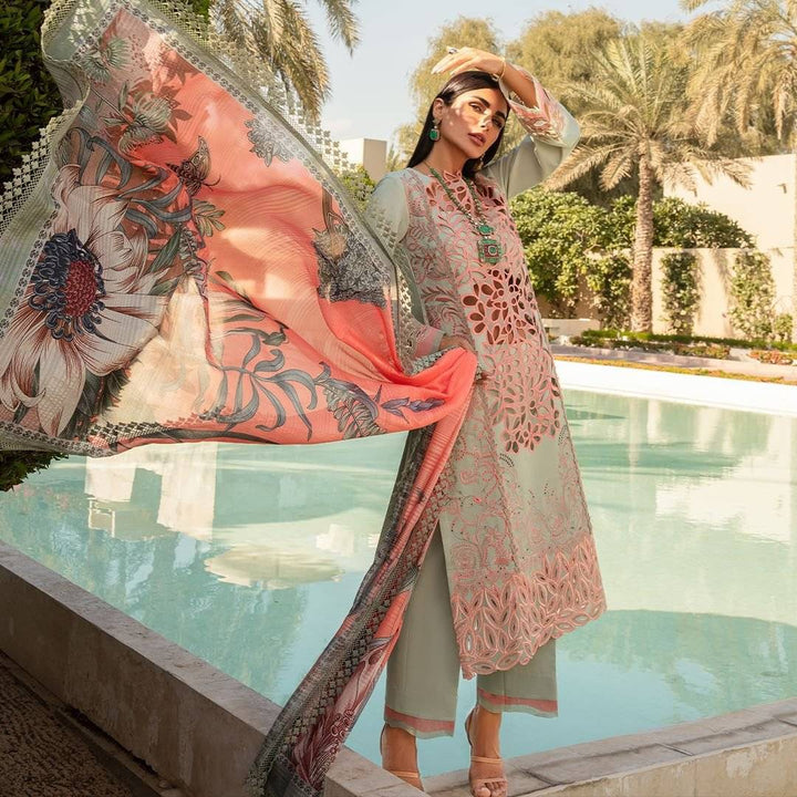 RANGRASIYA LAWN ORCHID