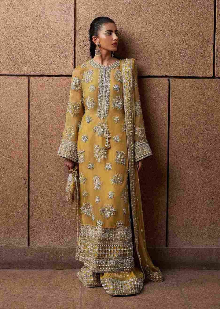 Hussain Rehar Zesty mustard