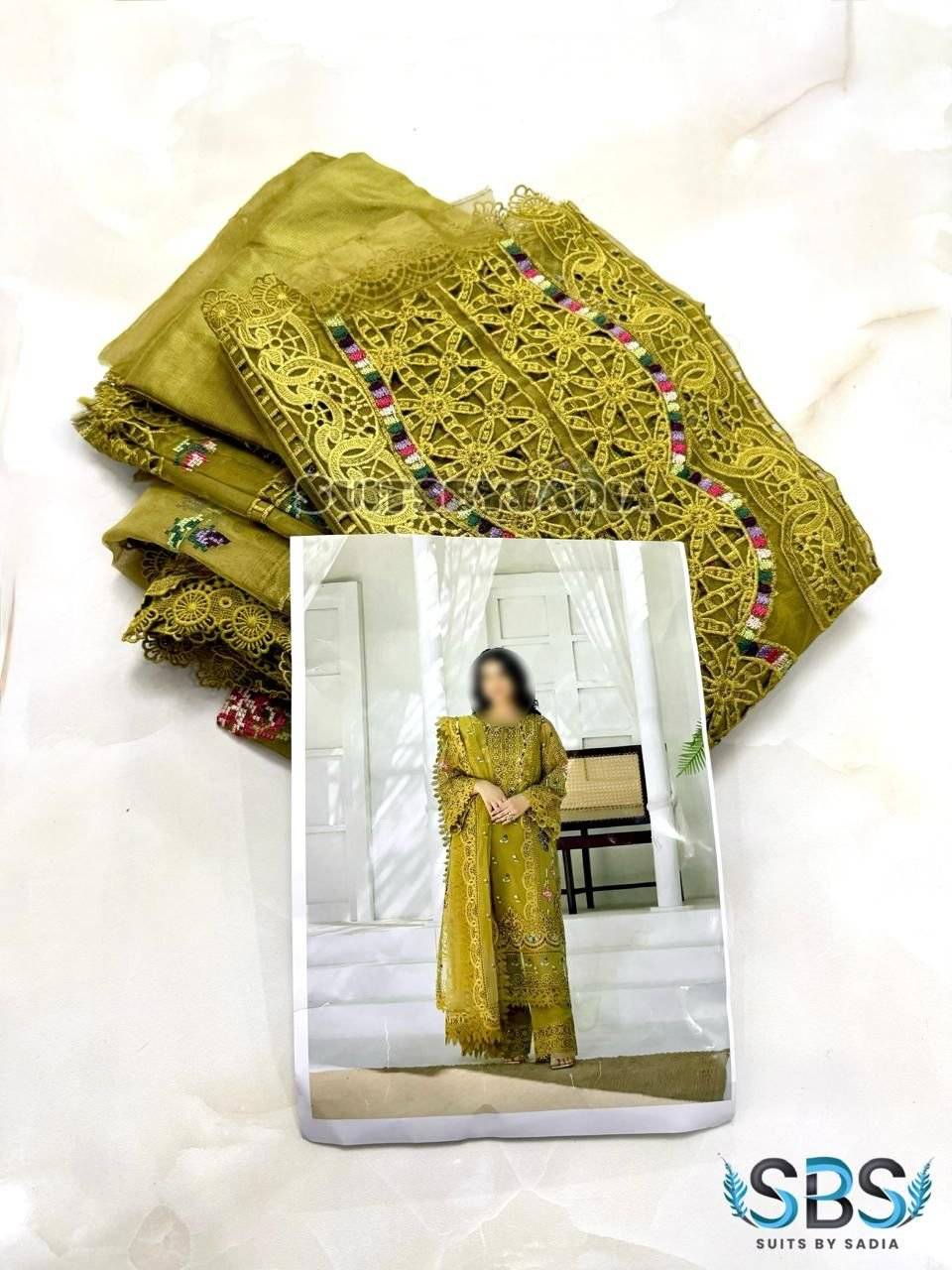 Aneela’s Sara khan Organza