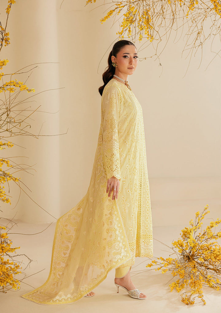AIK - LAWN - Butter yellow