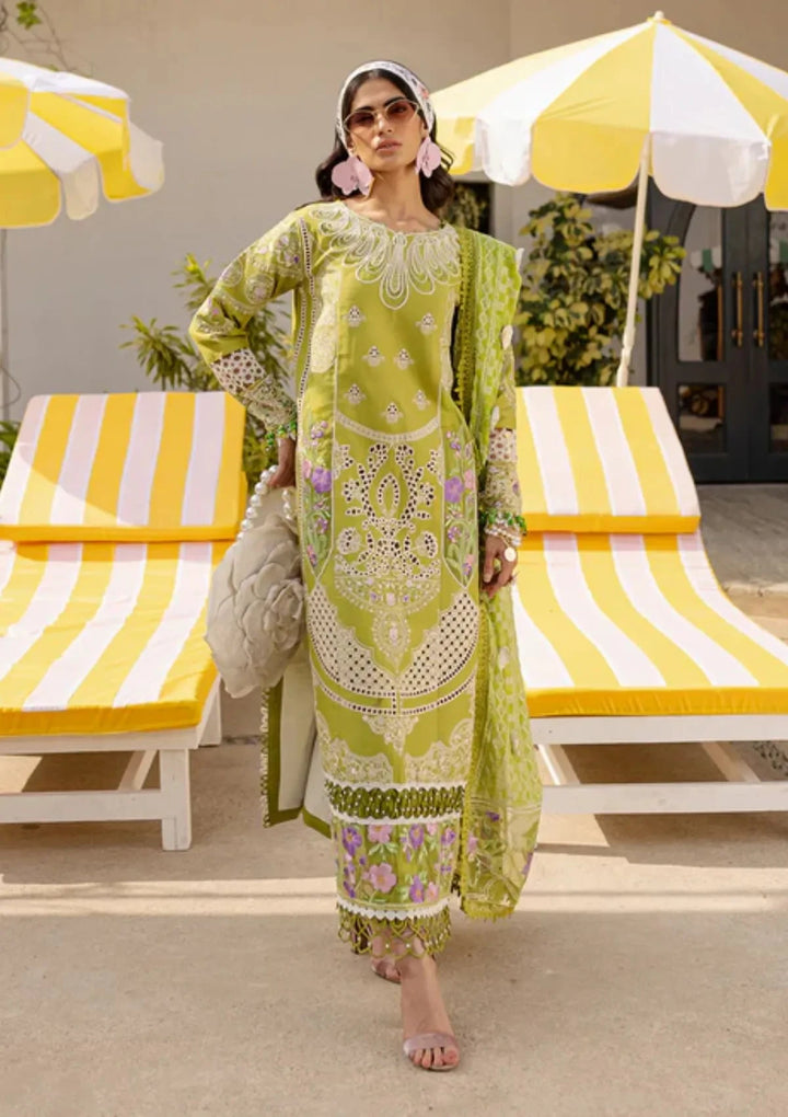 Parishay - monoco Apple green lawn